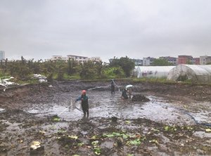 随州河道鱼塘清淤